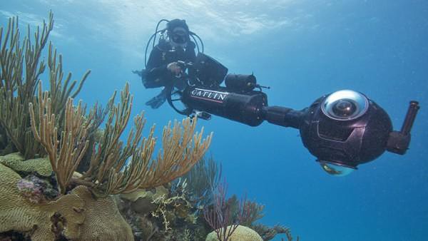 Chasing Coral
